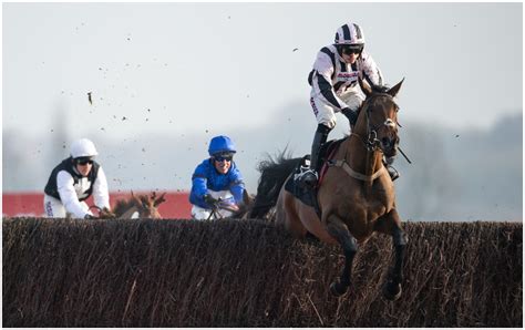 Ladbrokes Trophy tips from our experts including a 20/1 shout.